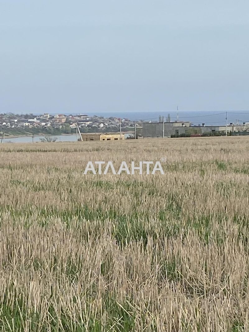 Landplot by the address (area 5 acr) - Atlanta.ua - photo 9