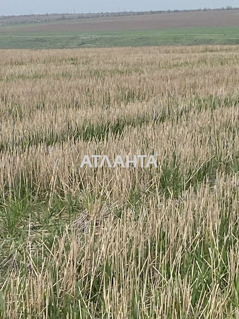 Landplot by the address (area 5 acr) - Atlanta.ua - photo 10