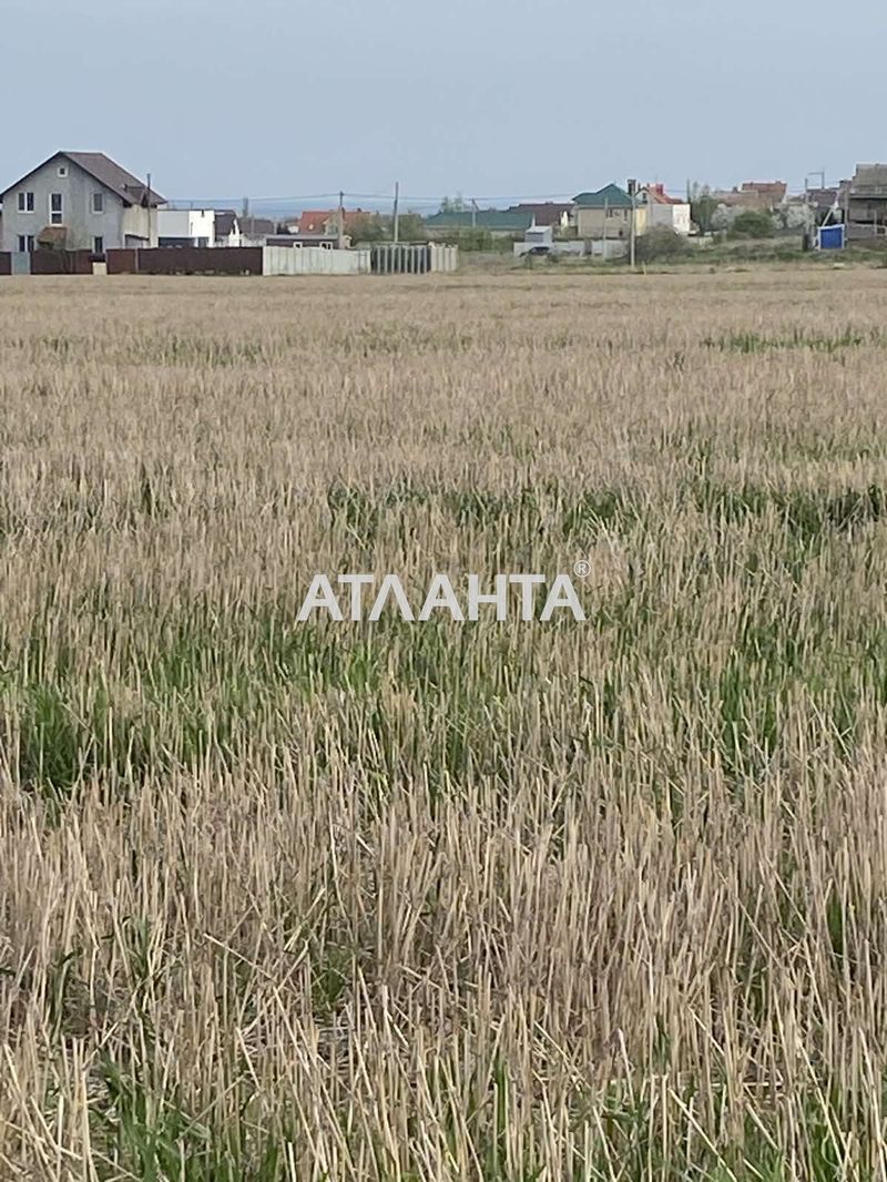 Landplot by the address (area 5 acr) - Atlanta.ua - photo 12