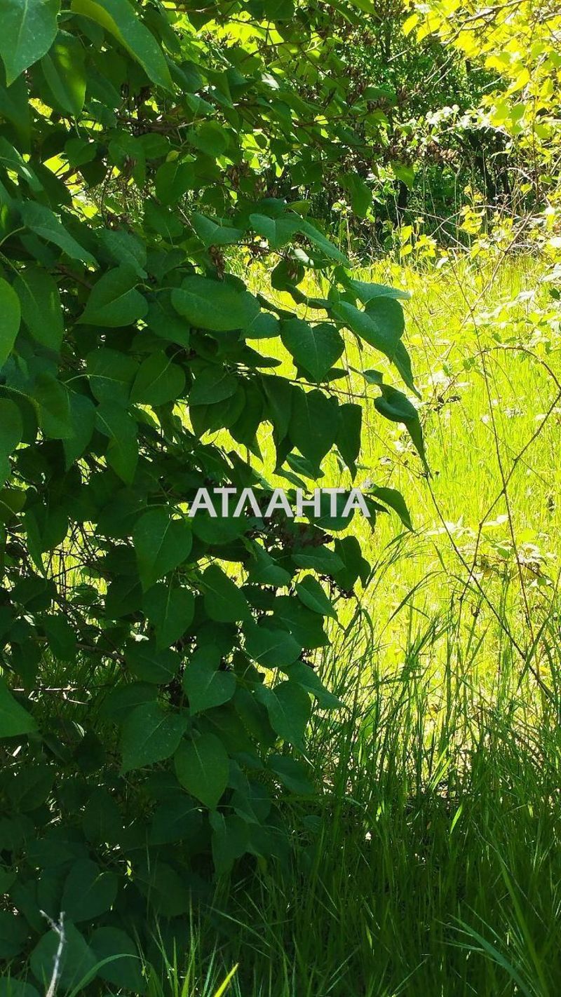 Ділянка за адресою вул. Землевпорядна (площа 6 сот) - Atlanta.ua - фото 4