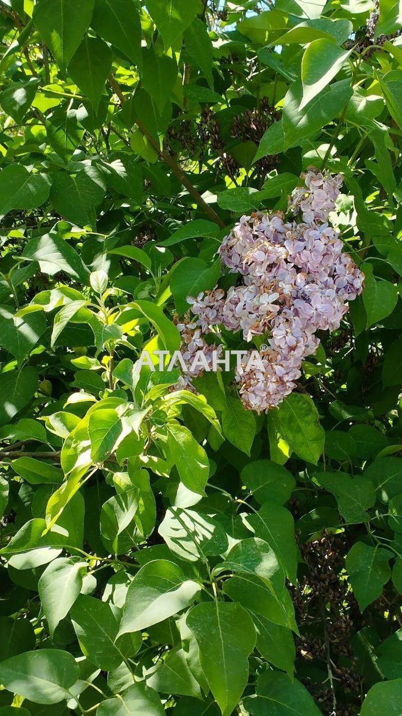 Ділянка за адресою вул. Землевпорядна (площа 6 сот) - Atlanta.ua - фото 5