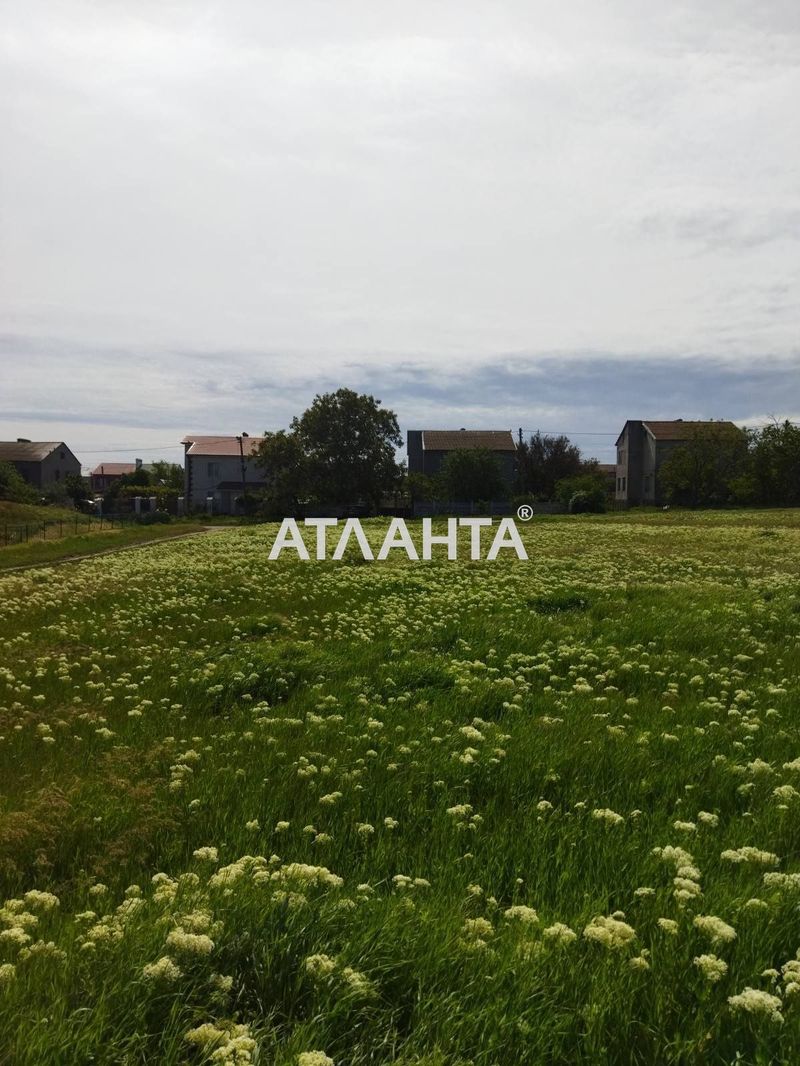 Landplot by the address st. Miru (area 14 acr) - Atlanta.ua - photo 2