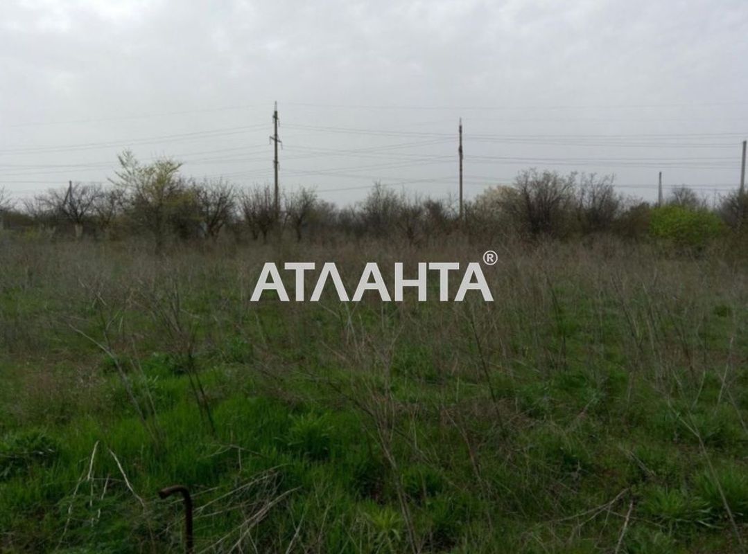 Landplot by the address st. 6 ya liniya (area 9 acr) - Atlanta.ua - photo 4