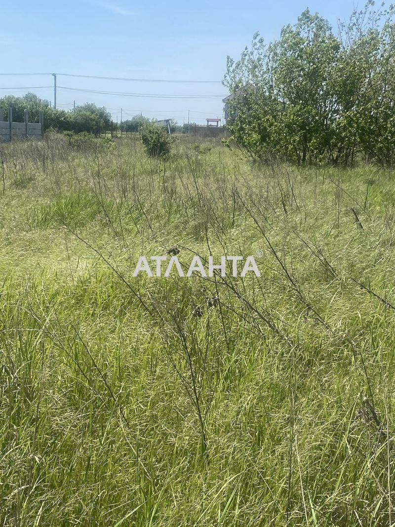 Участок по адресу (площадь 15 сот) - Atlanta.ua - фото 5