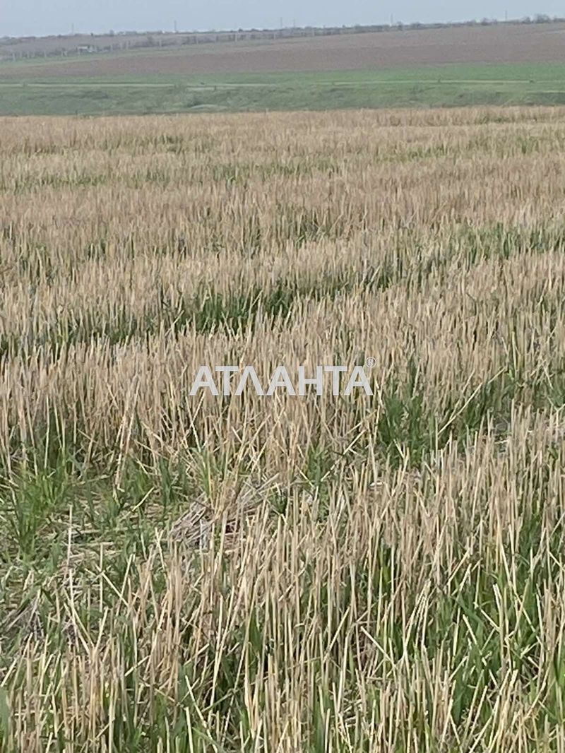 Участок по адресу (площадь 6 сот) - Atlanta.ua - фото 2