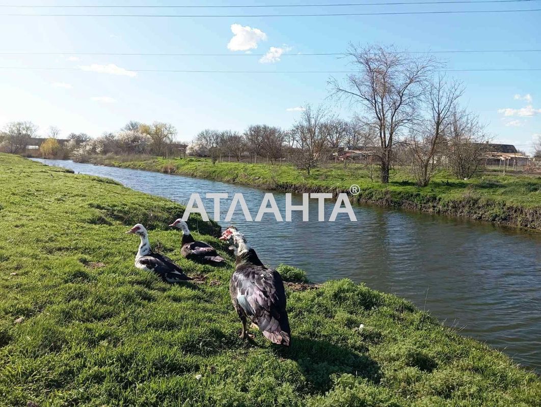 Участок (площадь 13,1 сот) - Atlanta.ua - фото 5