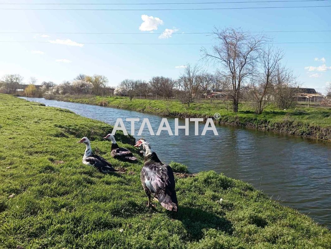 Участок (площадь 13,1 сот) - Atlanta.ua - фото 6
