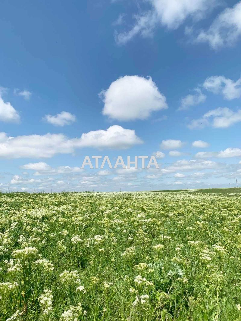 Landplot by the address (area 8 acr) - Atlanta.ua