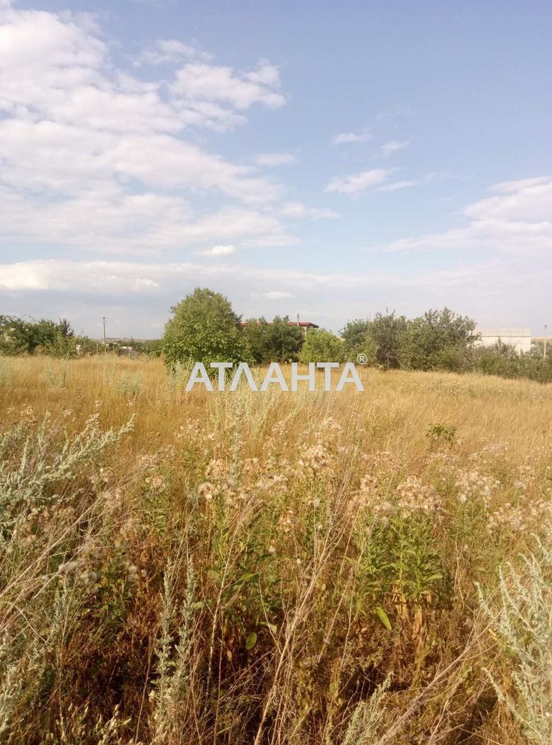 Landplot by the address st. Rekordnaya (area 12 acr) - Atlanta.ua - photo 2