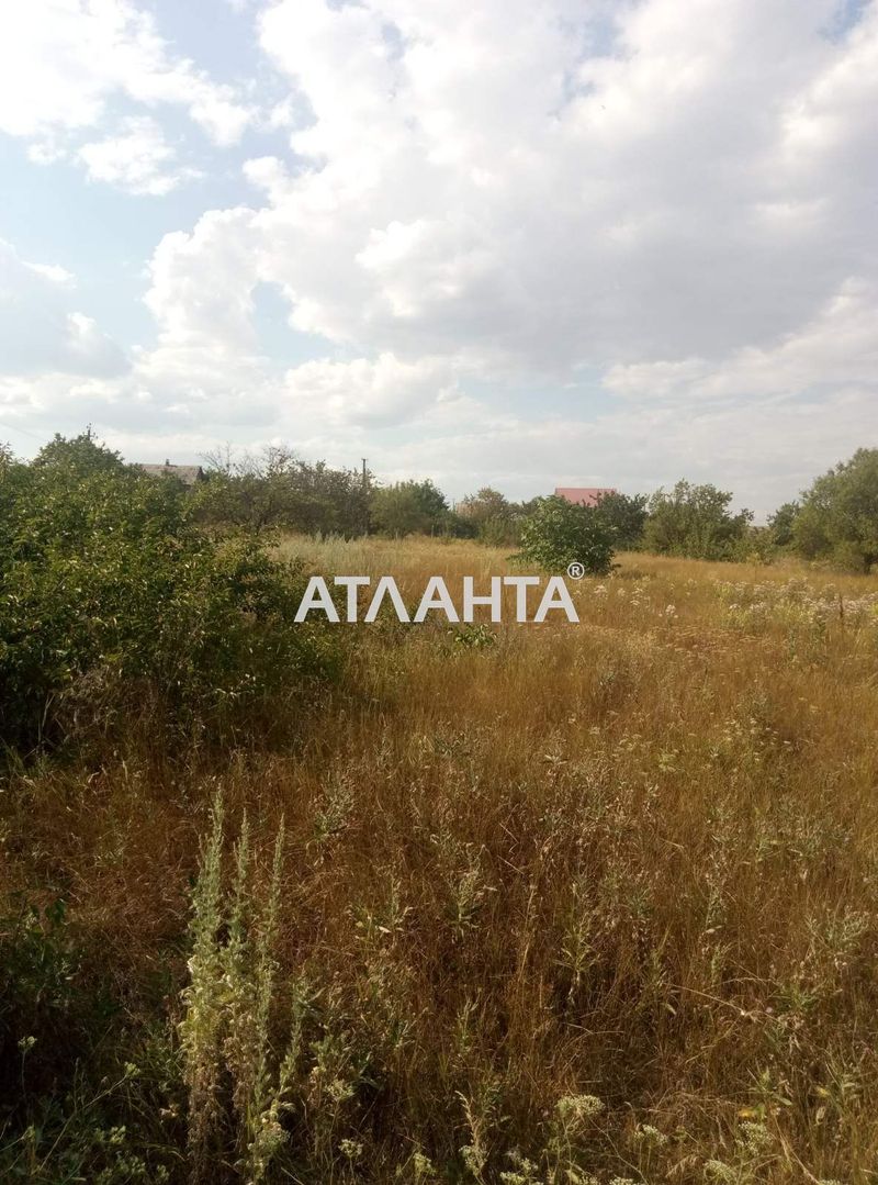 Landplot by the address st. Rekordnaya (area 12 acr) - Atlanta.ua