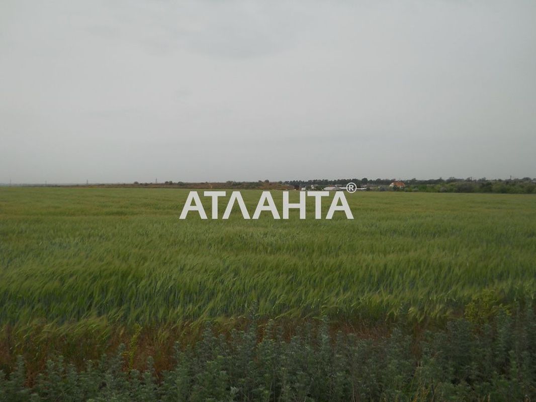 Комерційна нерухомість за адресою вул. Центральна (площа 0) - Atlanta.ua - фото 4