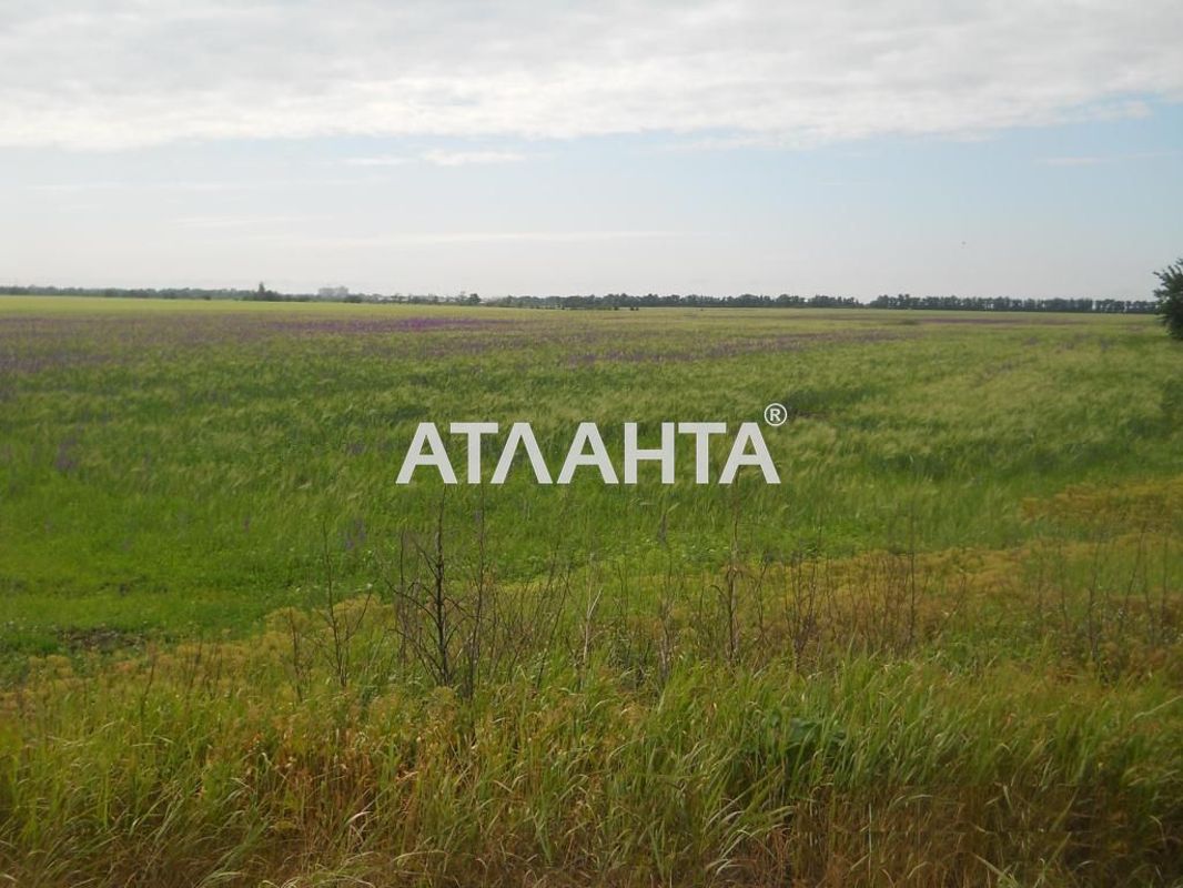 Комерційна нерухомість за адресою вул. Центральна (площа 0) - Atlanta.ua - фото 5
