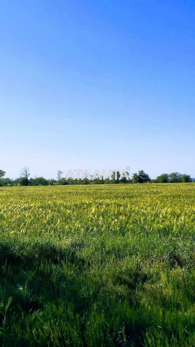 Landplot by the address st. Massiv 13 (area 160 acr) - Atlanta.ua - photo 2