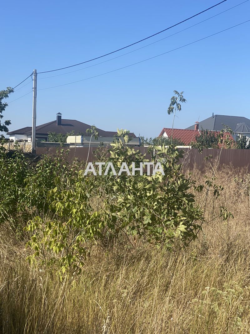 Участок по адресу ул. Лесная (площадь 5 сот) - Atlanta.ua - фото 3