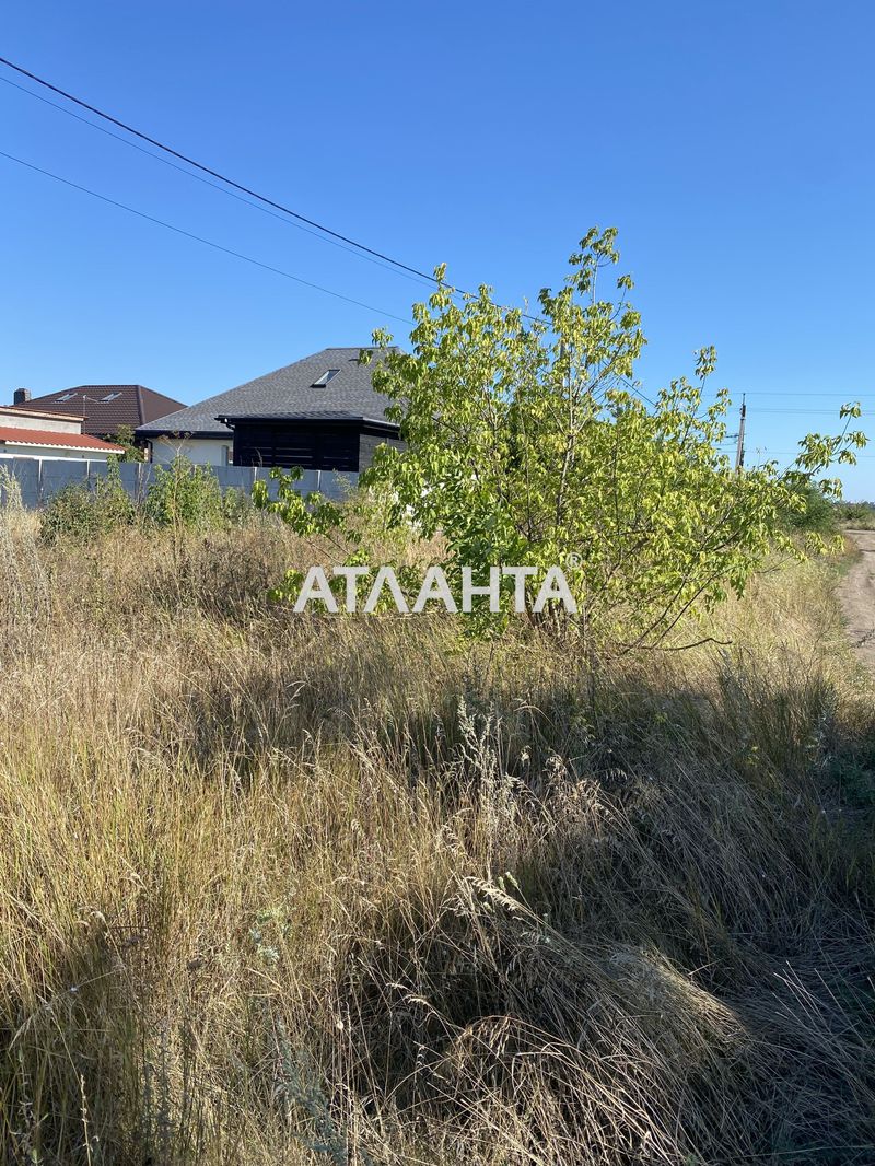 Участок по адресу ул. Лесная (площадь 5 сот) - Atlanta.ua - фото 5