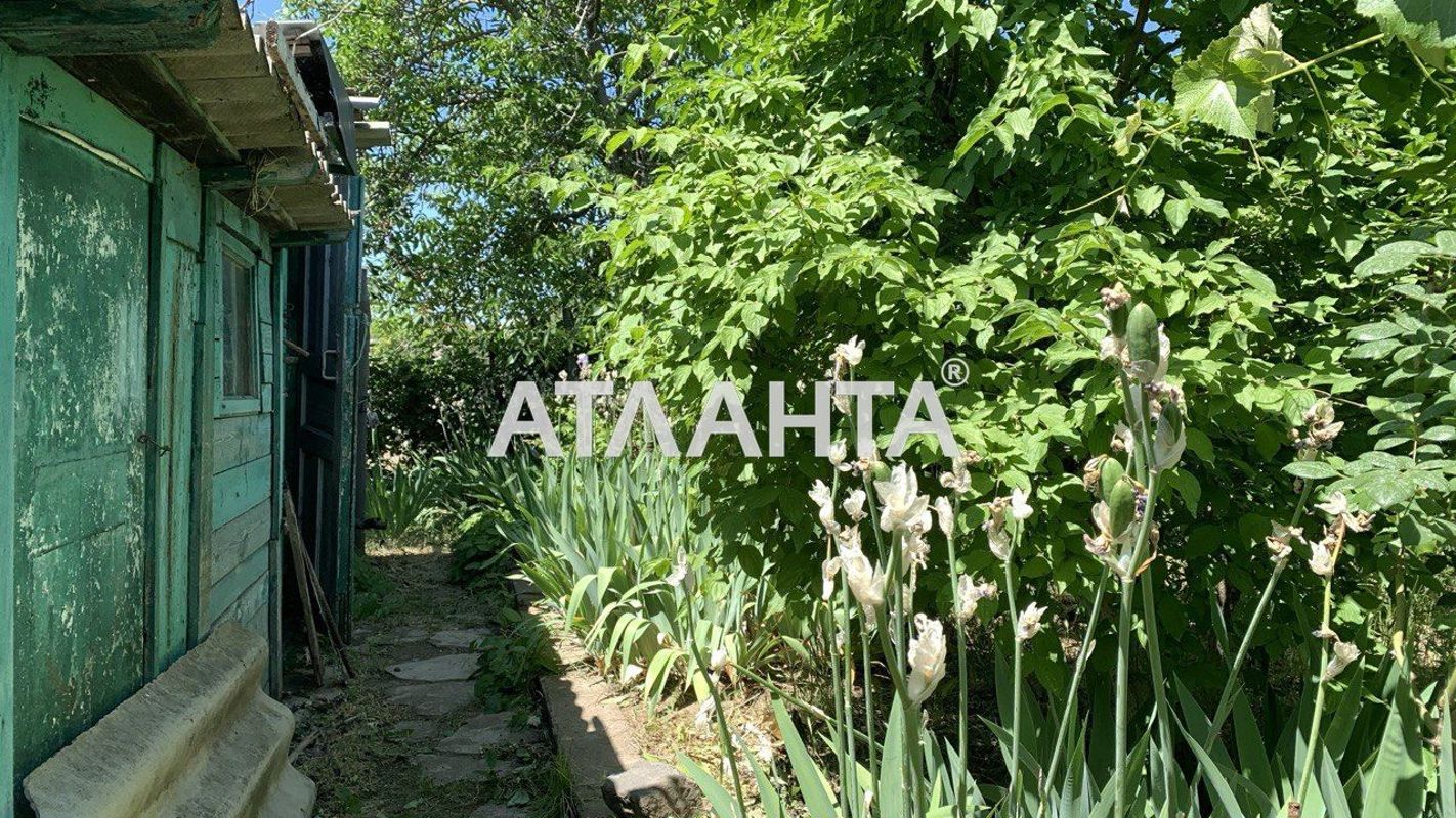 Дача (площадь 42 м²) - Atlanta.ua - фото 2