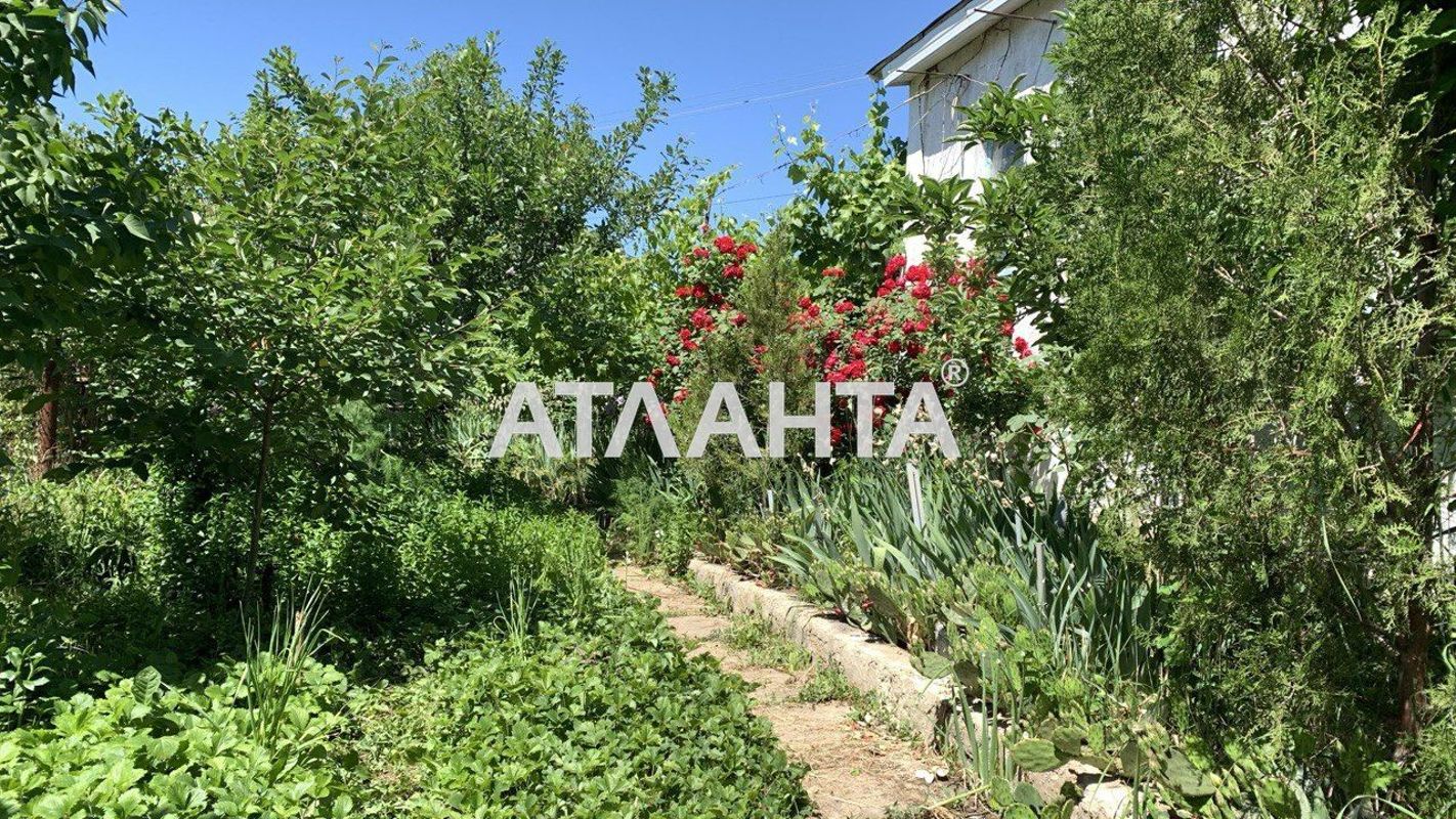 Дача (площадь 42 м²) - Atlanta.ua - фото 3