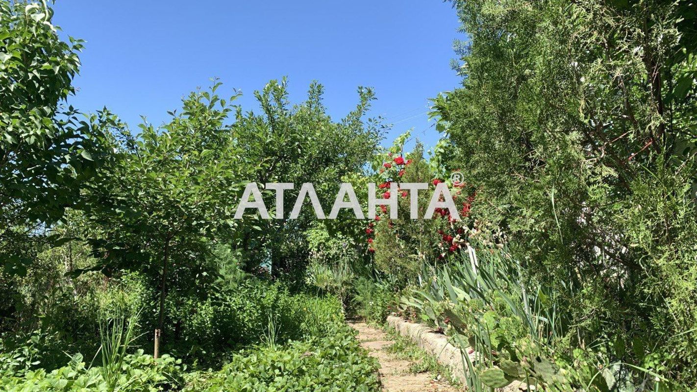 Дача (площадь 42 м²) - Atlanta.ua - фото 5