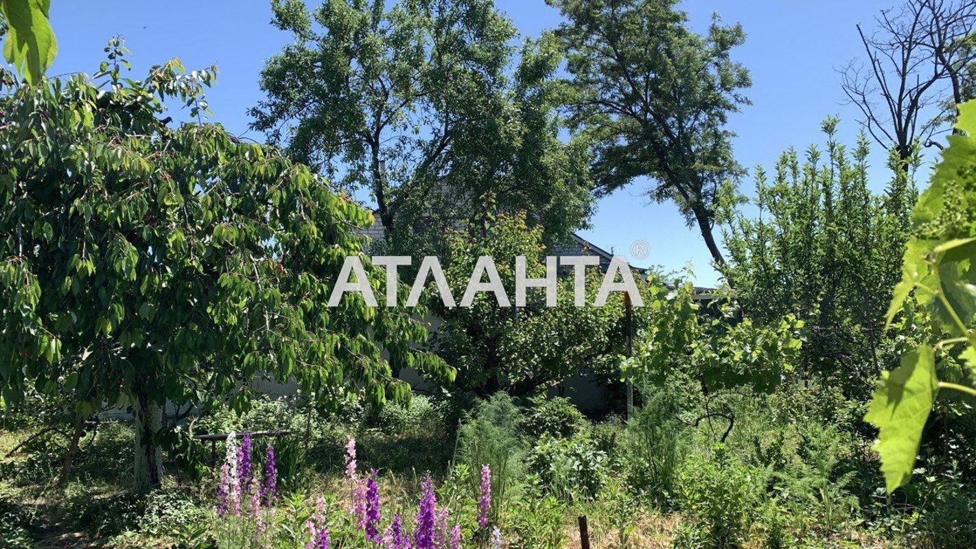 Дача (площадь 42 м²) - Atlanta.ua - фото 6