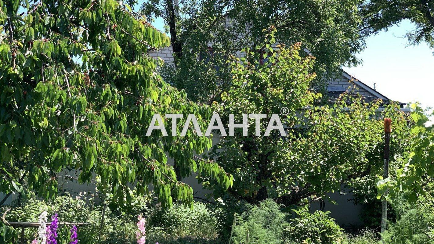 Дача (площадь 42 м²) - Atlanta.ua - фото 7