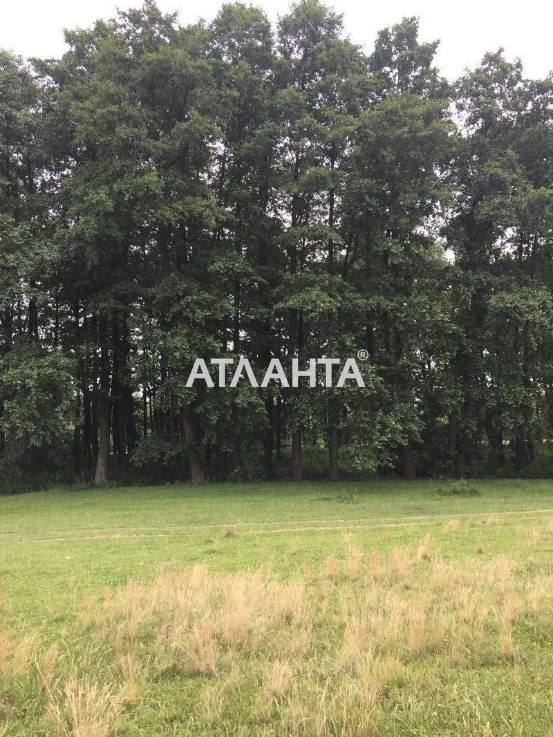 Landplot by the address (area 12 acr) - Atlanta.ua