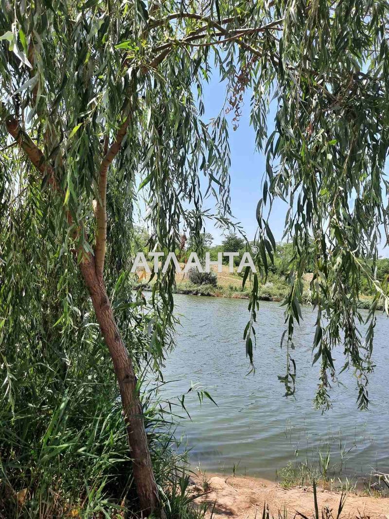 Landplot by the address st. Massiv 24 (area 8,2 acr) - Atlanta.ua - photo 5