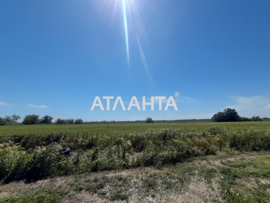 Дом (площадь 120 м²) - Atlanta.ua