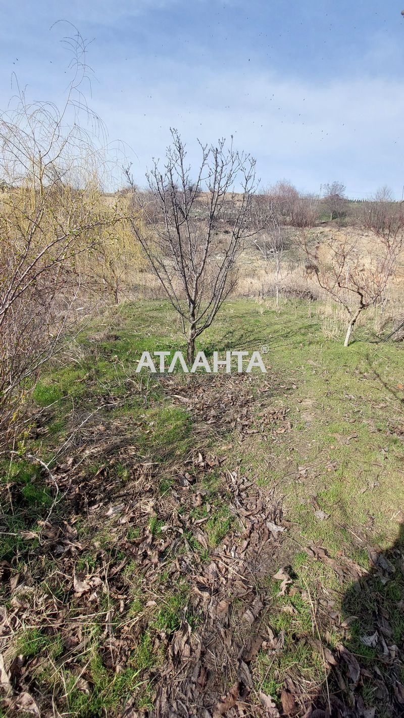 Ділянка за адресою Малий пров. (площа 5 сот) - Atlanta.ua - фото 5