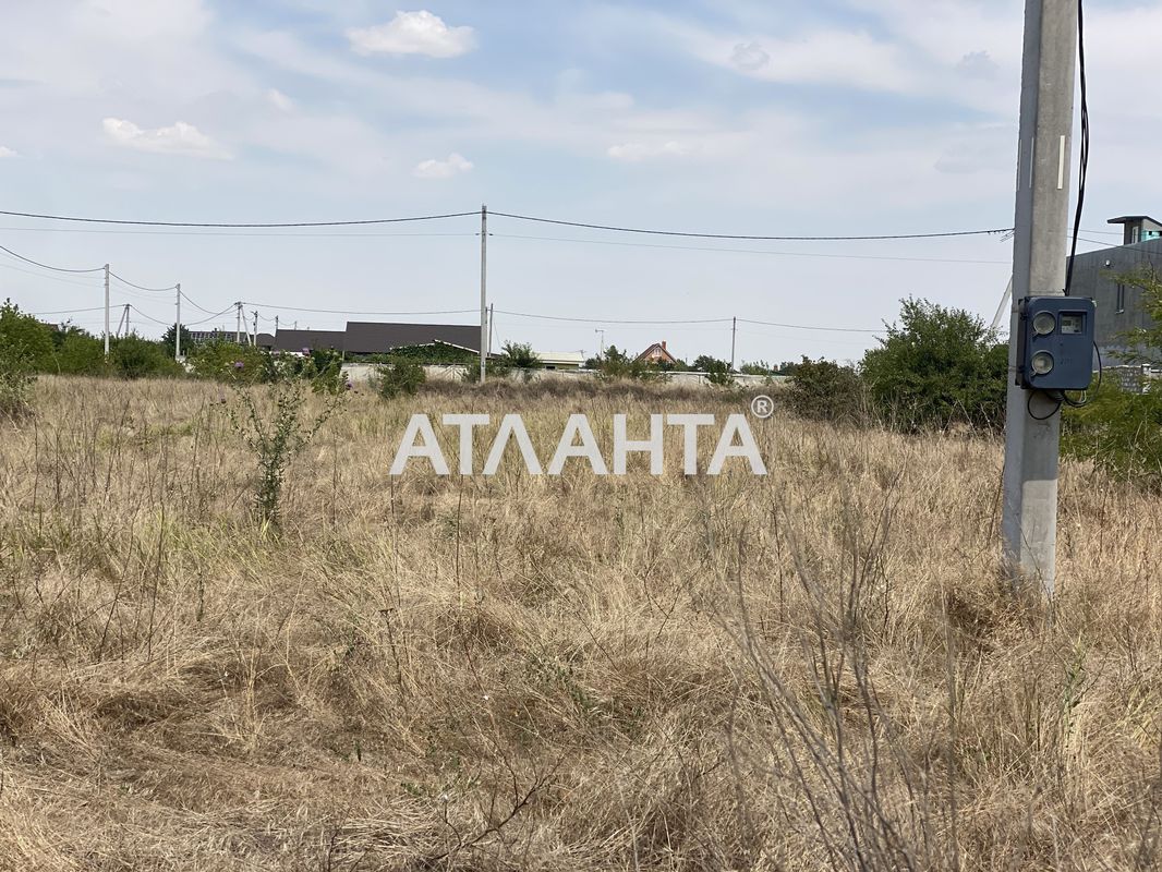 Участок по адресу ул. Новая (площадь 10 сот) - Atlanta.ua - фото 2