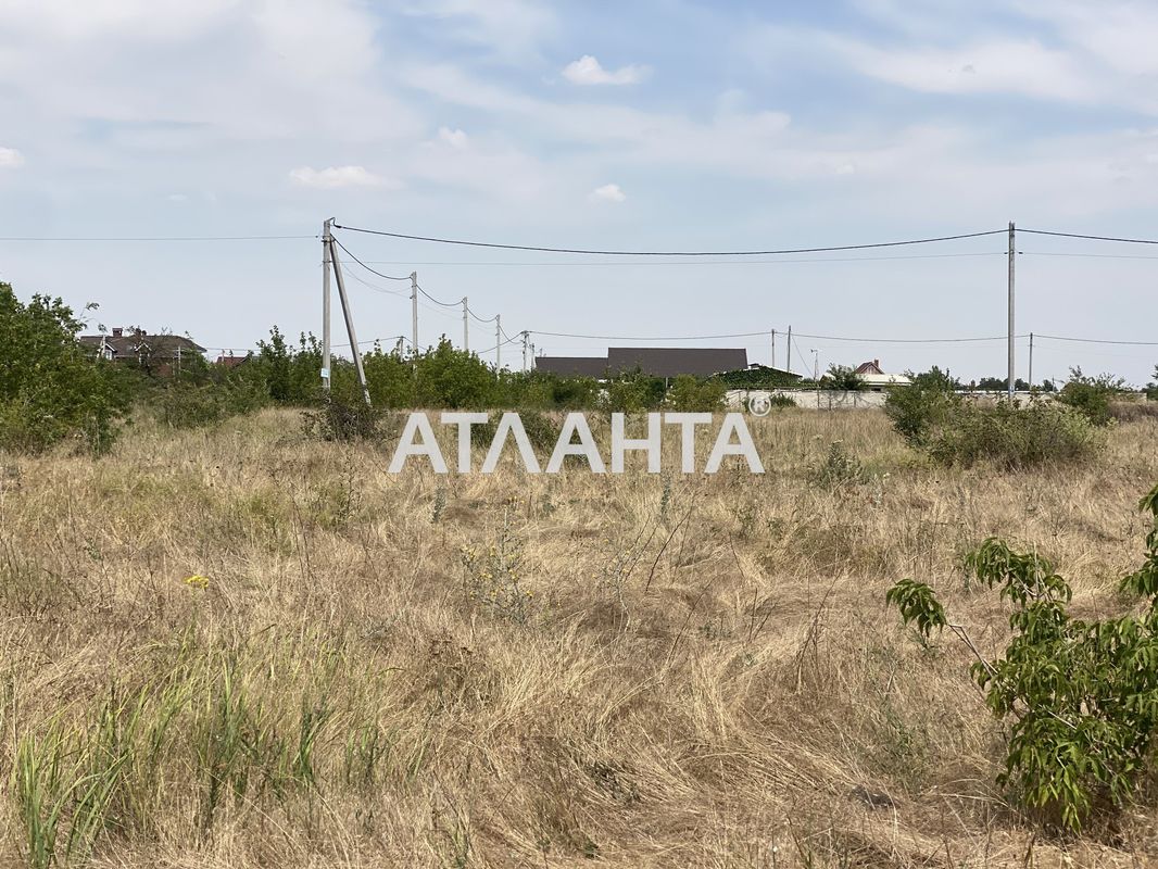 Участок по адресу ул. Новая (площадь 10 сот) - Atlanta.ua - фото 3
