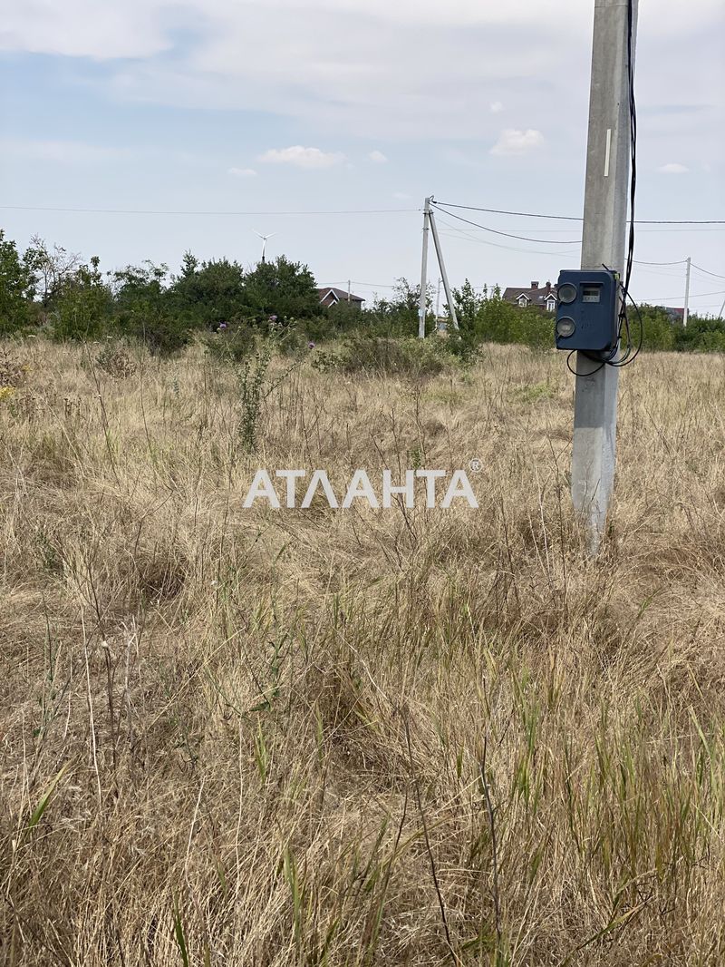 Участок по адресу ул. Новая (площадь 10 сот) - Atlanta.ua - фото 6